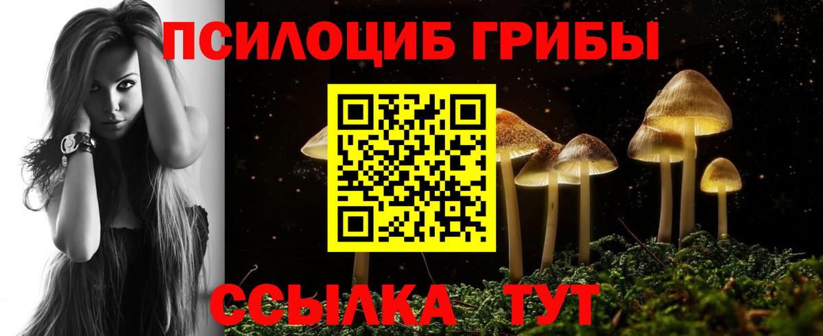 Псилоцибиновые грибы Psilocybine cubensis  Галлюциногенные грибы Psilocybe  Ноябрьск  Вход с VPN 